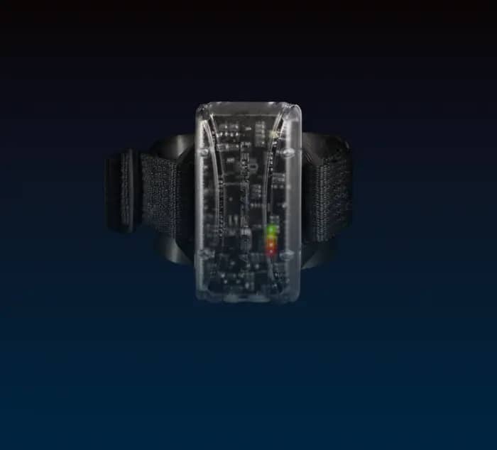 Scorpion shock-band